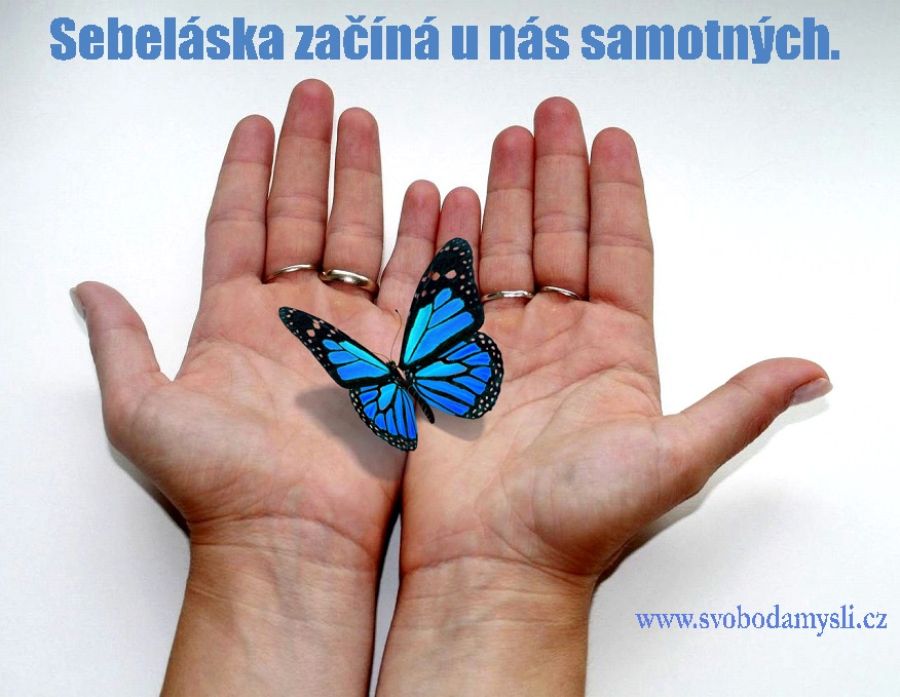 Naše touha po pozornosti