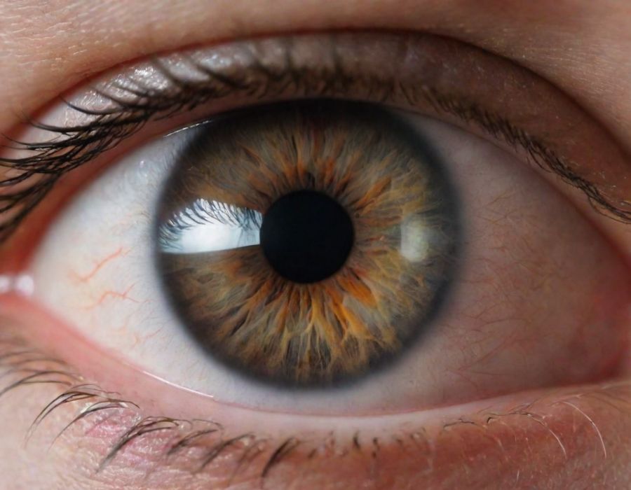 Virtuální brýle a sugesce